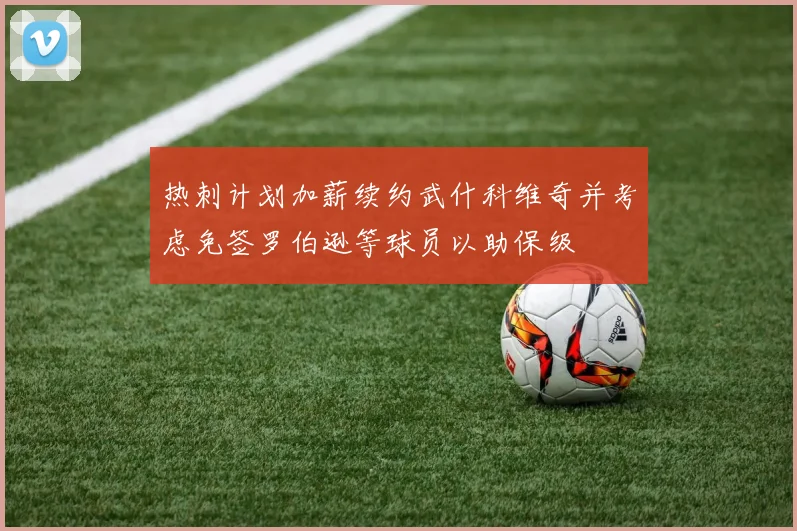 热刺计划加薪续约武什科维奇并考虑免签罗伯逊等球员以助保级