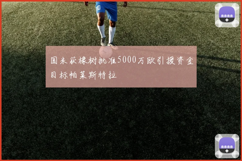 国米获橡树批准5000万欧引援资金目标帕莱斯特拉